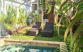 The Jungle House